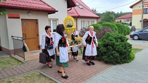 Zdjęcie - 
