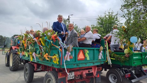 Zdjęcie - 