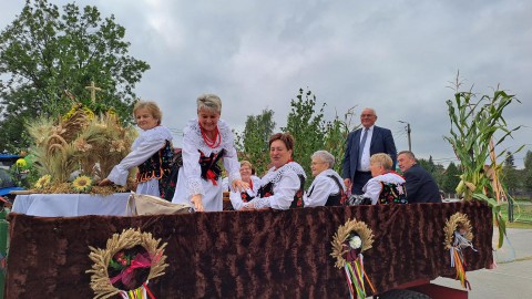 Zdjęcie - 