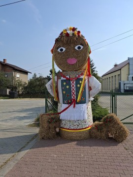 Zdjęcie - 
