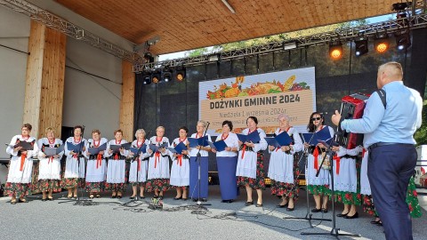 Zdjęcie - 
