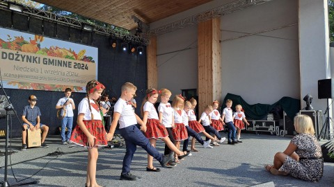 Zdjęcie - 