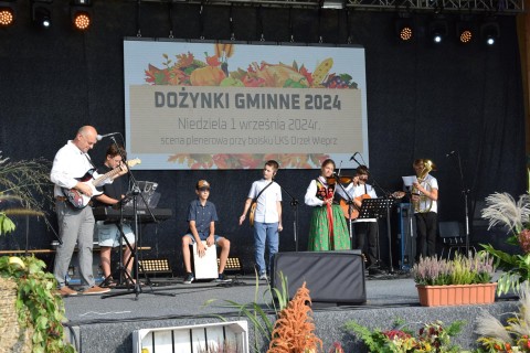 Zdjęcie - 