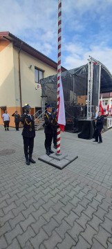 Zdjęcie - 