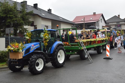 Zdjęcie - 