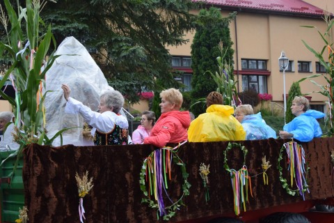 Zdjęcie - 