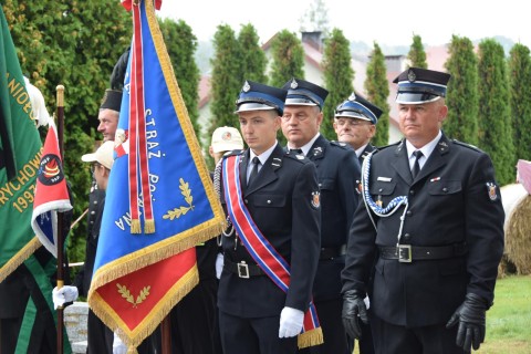 Zdjęcie - 