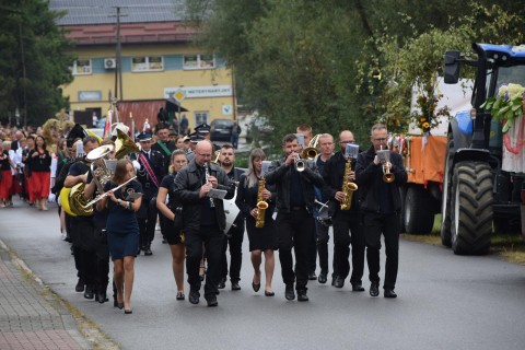 Zdjęcie - 