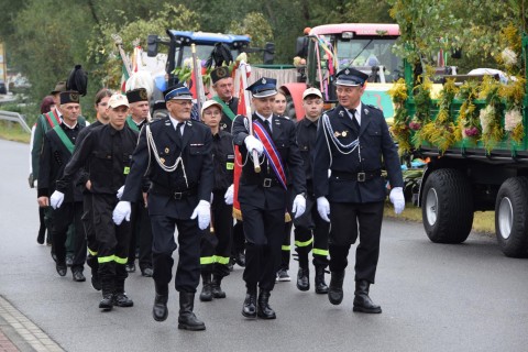Zdjęcie - 