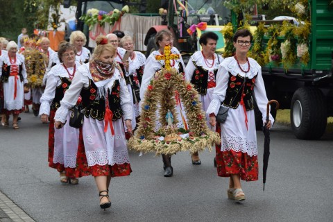 Zdjęcie - 