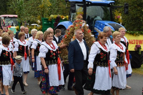 Zdjęcie - 