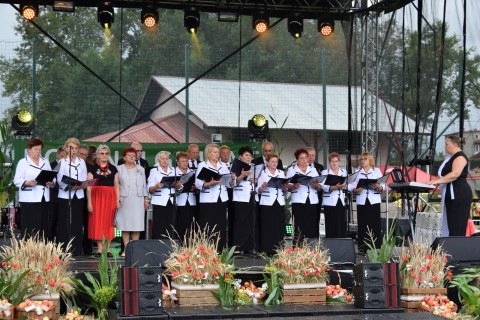 Zdjęcie - 