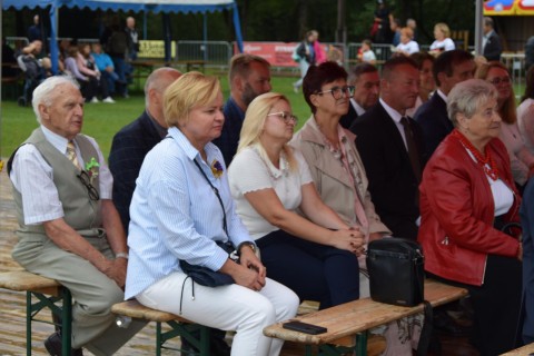 Zdjęcie - 