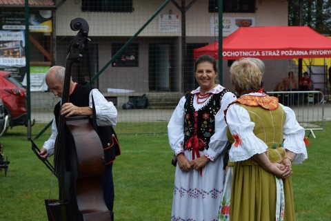 Zdjęcie - 