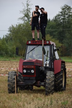 Zdjęcie - 