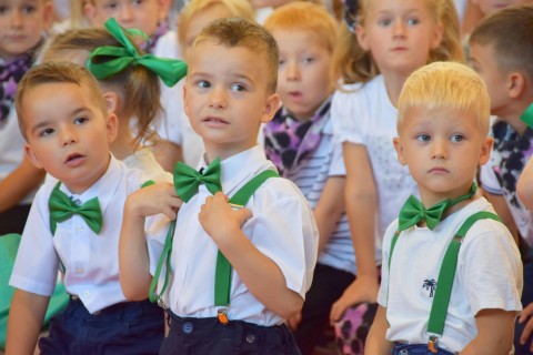 Zdjęcie - 