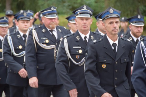 Zdjęcie - 