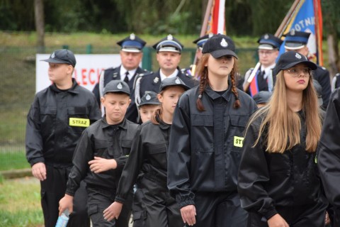 Zdjęcie - 