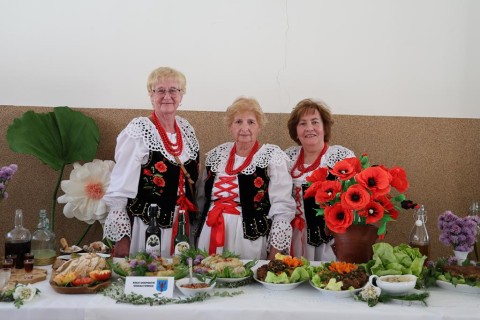Zdjęcie - 
