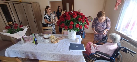 Zdjęcie - 