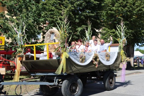 Zdjęcie - 